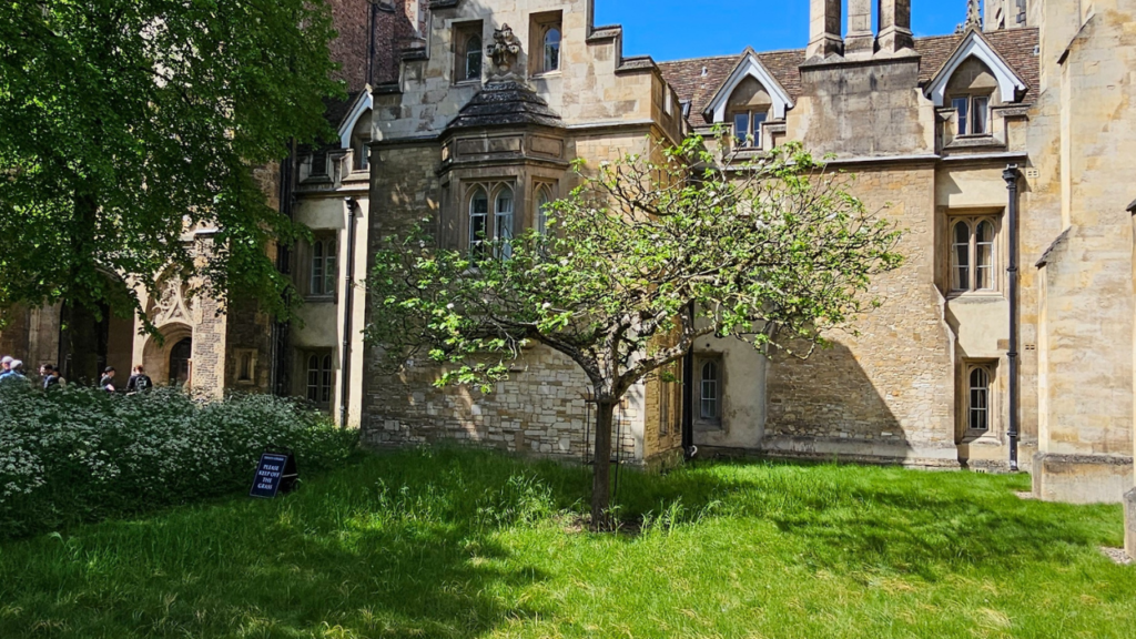 Cambridge 2 cambridge 3 7