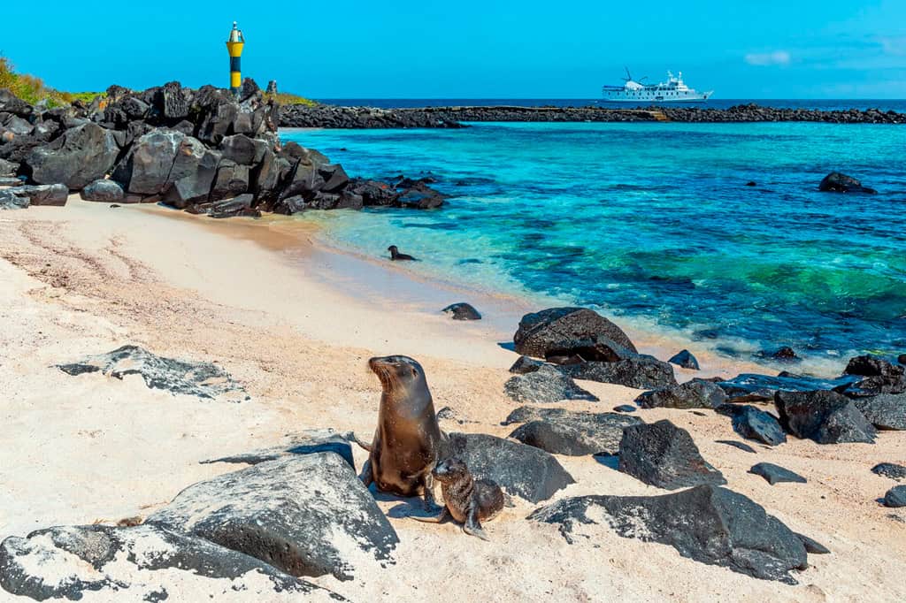 Países que o brasileiro não precisa de passaporte: para onde viajar só com RG e o que fazer em cada destino 8 ilhas galapagos