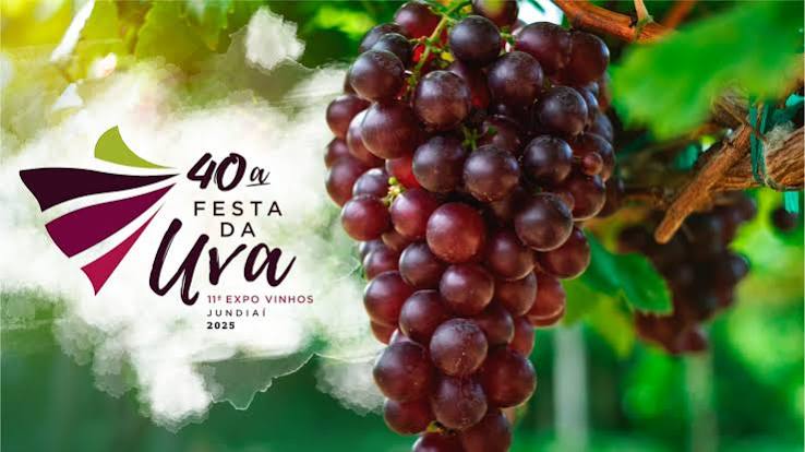 Macarrão no parmesão na Festa da Uva 2026 em Jundiaí 🍇.